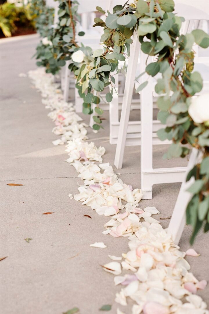 Flower Petals Placed Beside Line of Chairs
